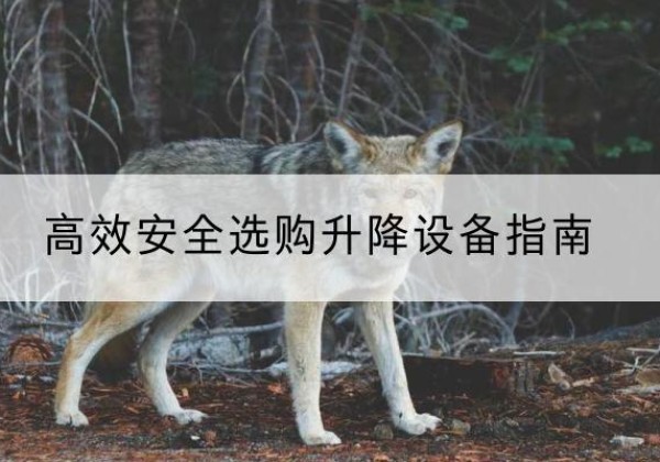 博罗升降货梯厂家推荐-*安全选购升降设备指南