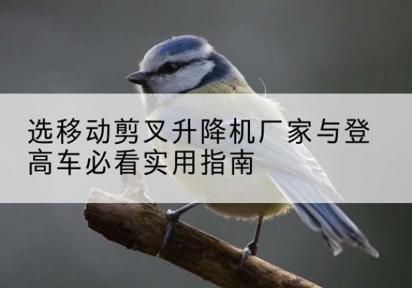 博罗电动升降机厂家-选移动剪叉升降机厂家与登高车必看实用指南