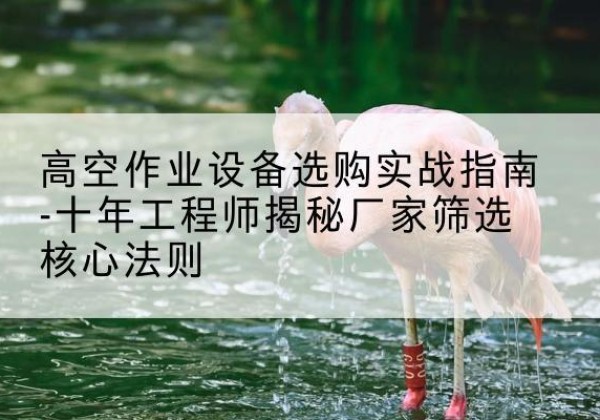 博罗剪叉式升降机厂家-高空作业设备选购实战指南-十年工程师揭秘厂家筛选核心法则